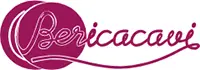 Logo Berica Cavi