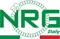 Logo NRG ITALY