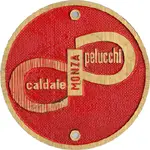 Logo Pelucchi Caldaie